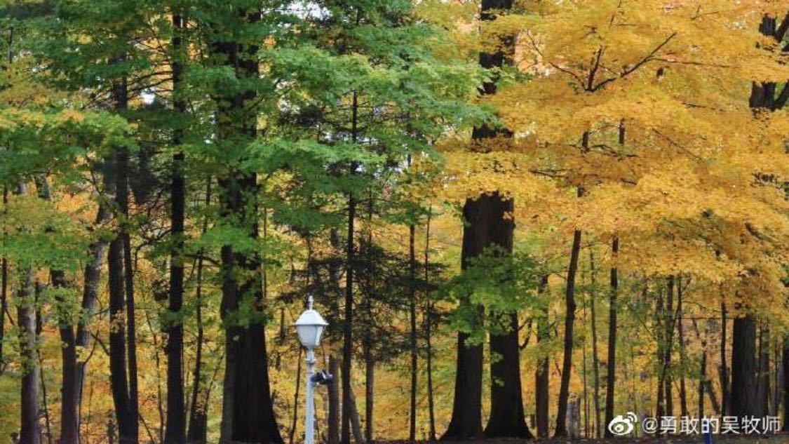 王者荣耀代人气网